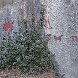 Theming in Bear Complex