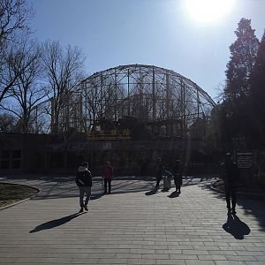 Snub-nosed Monkey Complex