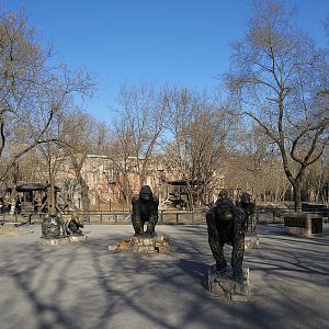 View towards the Ape House