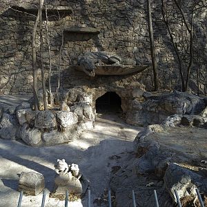 Outdoor Crocodile Pool