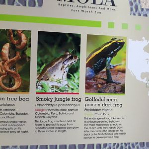 Walk into MOLA, under renovation