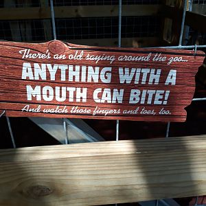 You see this, parents?!