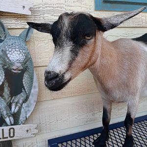 What're you looking at?