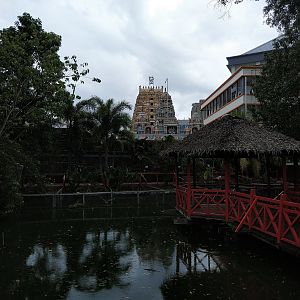 View out of the park