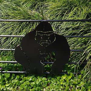 Gorilla Fencing