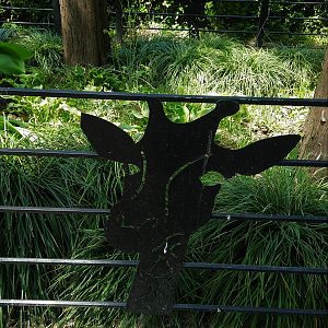 Giraffe Fencing
