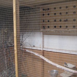 Farm Fun - Barn - Finch/quail aviary