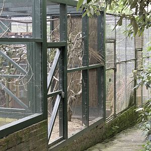 Off-show aviaries