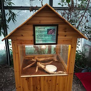 Free-standing Terrarium