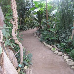 Aarhus Botaniske Have - General view of tropical house