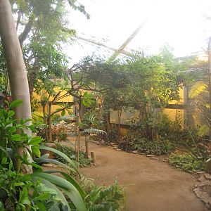 Aarhus Botaniske Have - General view of tropical house
