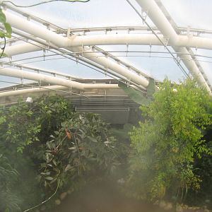 Aarhus Botaniske Have - General view of tropical house