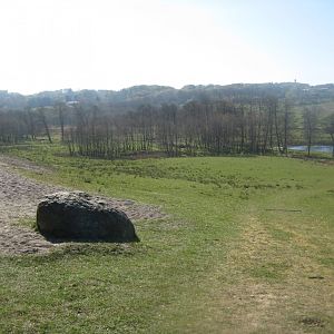 Bangsbo Dyrehave - General view of open area