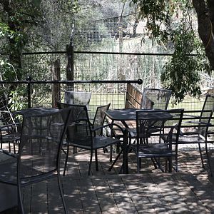 deck overlooking tiger pond