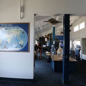 Sea Lion Center (Pier 39, San Francisco)