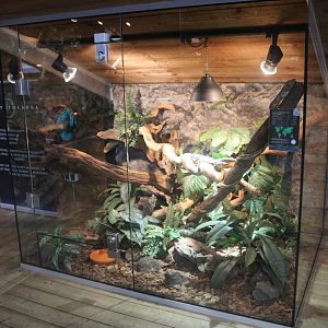 Enclosure Blue tree-monitor