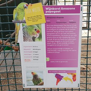 Sign Vinaceous amazon