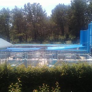 Sea lion and otter cages behind Sea Lion Stadium