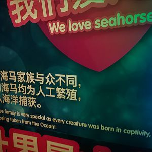 Seahorse Signage