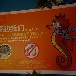 Seahorse Signage