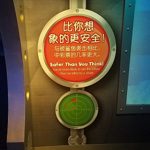 Shark Attack Signage