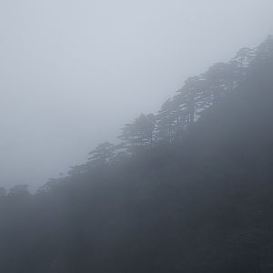 Huangshan