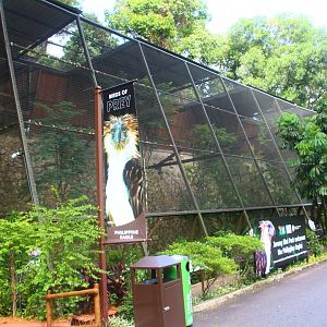 Philippine Eagle aviary