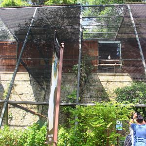 Philippine Eagle aviary