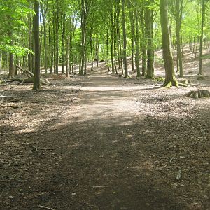 Randers Dyrehave - General view