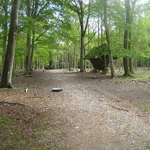 Randers Dyrehave - General view and feeding station