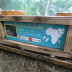 South-eastern Girdled Lizard signage