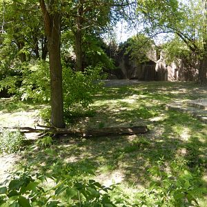 6/11/2019 - Former Bongo, Duiker, and Tortoise Exhibit