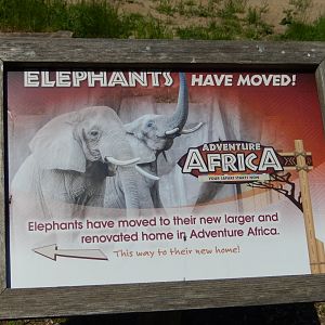 6/11/2019 - The Elephants Have Moved On!