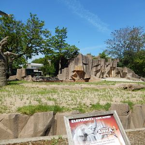 6/11/2019 - Former African Elephant Exhibit