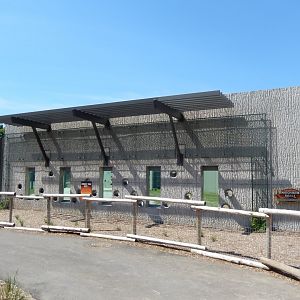 6/11/2019 - Enrichment Wall