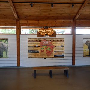 6/11/2019 - Forest Vs. Savanna Elephants