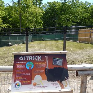 6/11/2019 - Impala Plains Sectioned Off