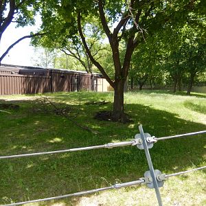 6/11/2019 - African Forest Habitat