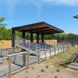 6/11/2019 - Elephant Demo Bleachers