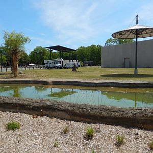 6/11/2019 - African Elephant Habitat - Waterhole View