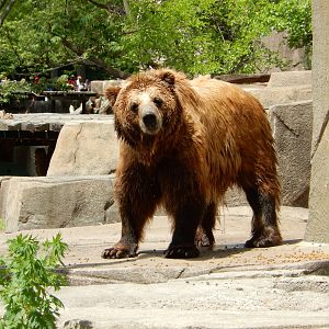 6/11/2019 - Borealis