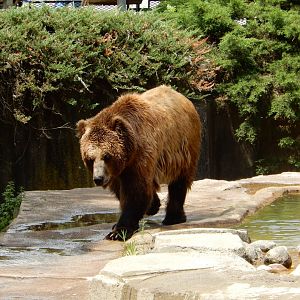 6/11/2019 - Streamside Stroll