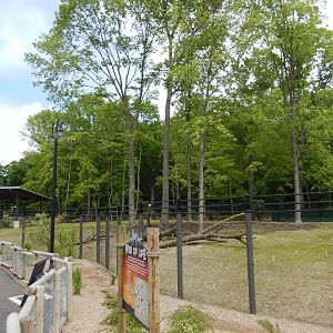 6/11/2019 - Impala Plains