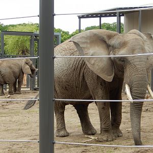 6/11/2019 - Girls Hang Out