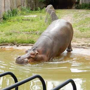 6/11/2019 - Happy Day