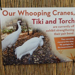 6/11/2019 - Whooping Crane Signage