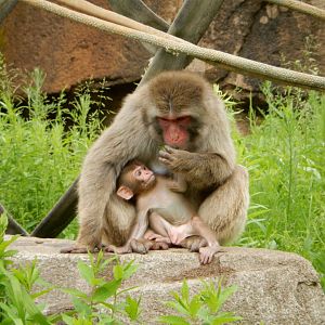 6/11/2019 - Now, Back In My Day...