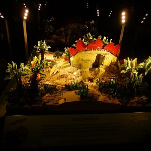 6/11/2019 - Brick Dinos Summer Special Exhibit - Stegosaurus