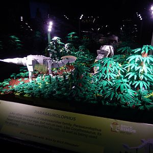6/11/2019 - Brick Dinos Summer Special Exhibit - Parasaurolophus