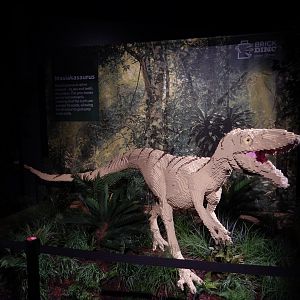 6/11/2019 - Brick Dinos Summer Special Exhibit - Masiakasaurus